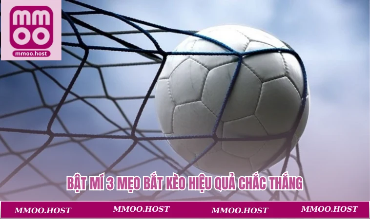 Kèo Rung Là Gì? Cược Nhanh, Thắng Lớn Mọi Lúc Mọi Nơi 3 Bật mí 3 mẹo bắt kèo hiệu quả chắc thắng