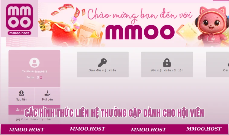 Các hình thức liên hệ thường gặp dành cho hội viên