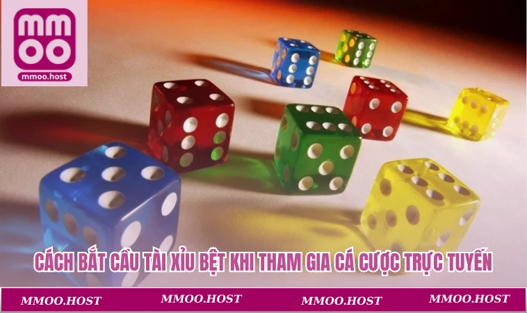 Cách bắt cầu tài xỉu bệt khi tham gia cá cược trực tuyến