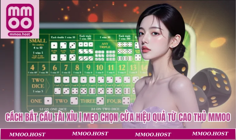 Cách bắt cầu tài xỉu