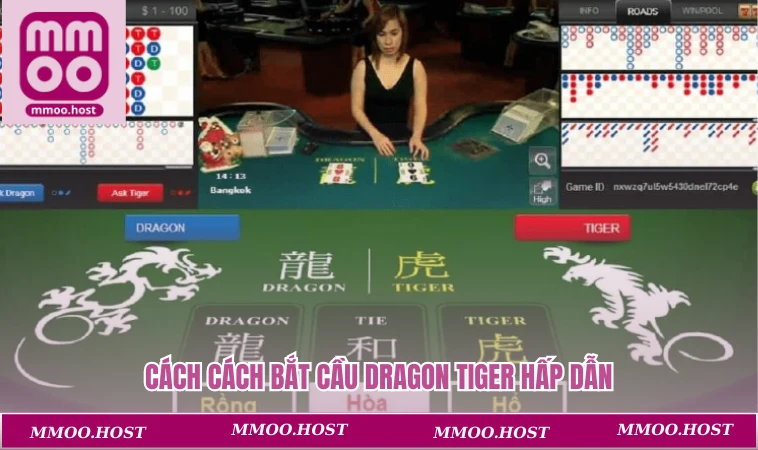 Cách Bắt Cầu Rồng Hổ Chuẩn Chỉnh Thu Về Phần Thưởng Khủng 2 Cách cách bắt cầu dragon tiger hấp dẫn