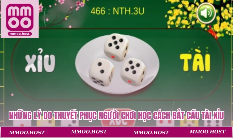 Những lý do thuyết phục người chơi học cách bắt cầu tài xỉu