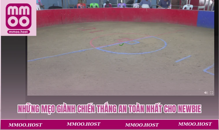 Những mẹo giành chiến thắng an toàn nhất cho newbie