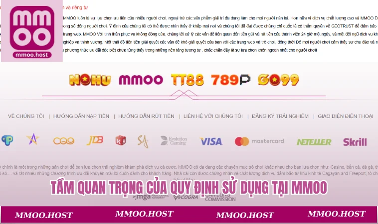 Tầm quan trọng của quy định sử dụng tại MMOO